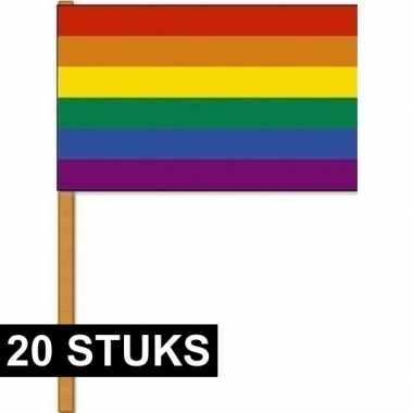 20x luxe zwaaivlaggen regenboog 30 x 45 cm met houten stok