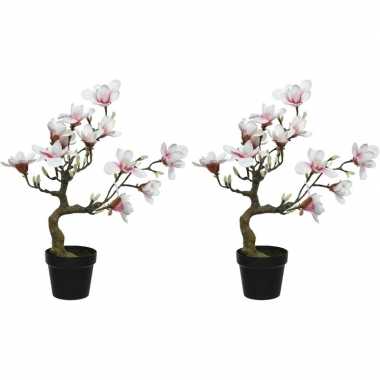 2x witte/roze magnolia/beverboom kunsttakken kunstplanten 60 cm