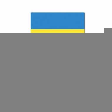 Handvlag oekraine set van 10