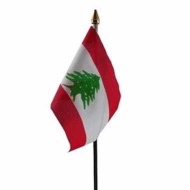 Feest libanon vlaggetje met stokje