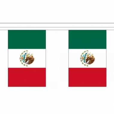 Vlaggenlijn mexico