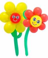 Doe het zelf ballon set bloemen