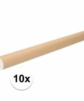 Feest 10x kartonnen poster kokers a2