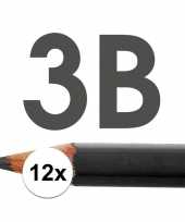 Feest 12x hb potloden voor volwassenen hardheid 3b