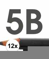 Feest 12x hb potloden voor volwassenen hardheid 5b