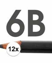 Feest 12x hb potloden voor volwassenen hardheid 6b