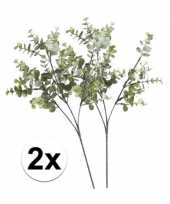 Feest 2 x grijs groene eucalyptus kunstplant tak 65 cm