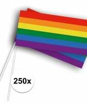 Feest 250x zwaaivlaggetjes handvlaggetjes met regenboog