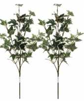 Feest 2x groen geelbonte hedera klimop kunsttakken kunstplanten 50 cm