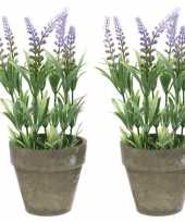 Feest 2x groene lilapaarse lavandula lavendel kunstplanten 25 cm in po