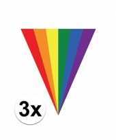 Feest 3x gay pride regenboog slingers vlaggenlijnen 5 meter