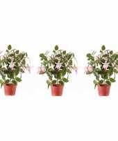 Feest 3x lichtroze fuchsiaplant kunstplant 30 cm voor binnen