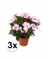 Feest 3x stuks kunstplanten roze bloemen vlijtig liesje in pot 25 cm