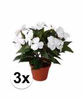 Feest 3x stuks kunstplanten wit vlijtig liesje in pot van 25 cm