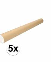 Feest 5x kartonnen poster kokers a1