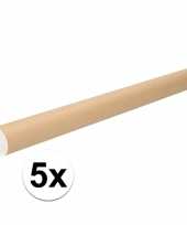 Feest 5x kartonnen poster kokers a2