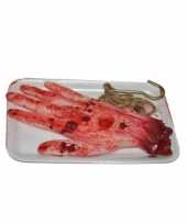 Feest afgehakte bloederige hand ca 19 cm