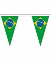 Feest brazilie landen punt vlaggetjes 20 meter