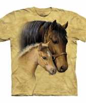 Feest bruin dieren t-shirt paarden voor kinderen