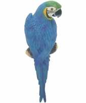 Feest dierenbeeld blauwe ara papegaai vogel 31 cm tuinbeeld hangdeco
