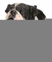 Feest dierenbeeld engelse bulldog staand 41 cm