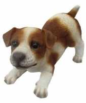 Feest dierenbeeld jack russel hond bruin wit 14 cm