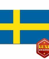 Feest goede kwaliteit zweedse vlaggen