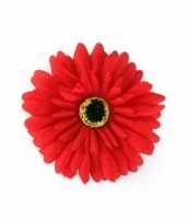 Feest haarbloem gerbera rood