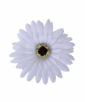 Feest haarbloem gerbera wit