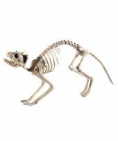 Feest halloween kat poes skelet halloween horror decoratie 60 cm