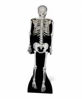 Feest halloween skelet versiering bord