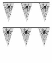 Feest halloween spinnenweb vlaggenlijn 6 meter