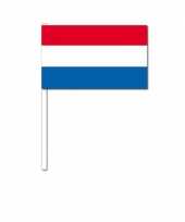 Feest handvlag nederland 12 x 24 cm