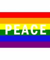 Feest hippie thema vlag rainbow peace