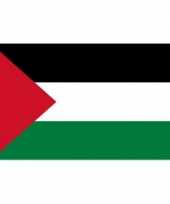 Feest kleine vlag van palestina 90 x 60 cm