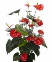 Feest kunst anthurium plant rood 80 cm