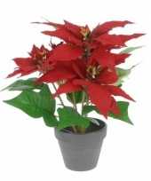 Feest kunstplant rode kerstster in pot 30 cm