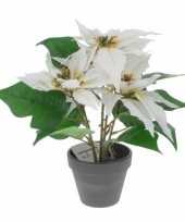 Feest kunstplant witte kerstster in pot 30 cm