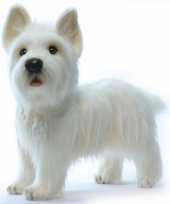 Feest levensechte hansa pluche west highland terrier knuffel 50 cm
