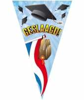 Feest mega puntvlag geslaagd thema