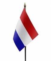 Feest nederland vlaggetje met stokje