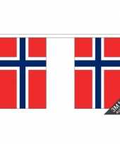 Feest noorwegen vlaggenlijn van stof 3 m