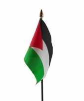 Feest palestina vlaggetje met stokje
