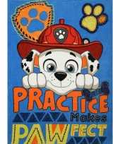 Feest paw patrol fleecedeken plaid blauw 100 x 140 cm