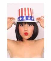 Feest plastic hoed amerika