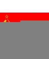 Feest polyester mega vlag sovjet unie 150 x 240 cm