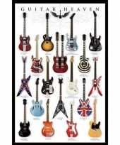 Feest poster gitaren muziek thema 61 x 91 cm wanddecoratie