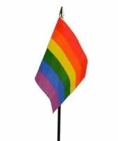 Feest regenboog vlaggetje met stokje