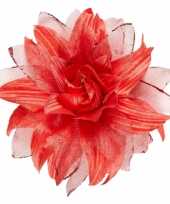 Feest rode haarbloem met glitters