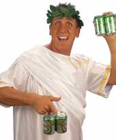 Feest romeinse hoofdkrans groen